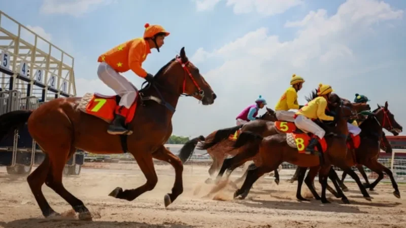 Cá Cược Đua Ngựa - Tựa Game Cá Cược Cực Hay Tại 188bet Loại vé cược ghép trong cuộc đua ngựa
